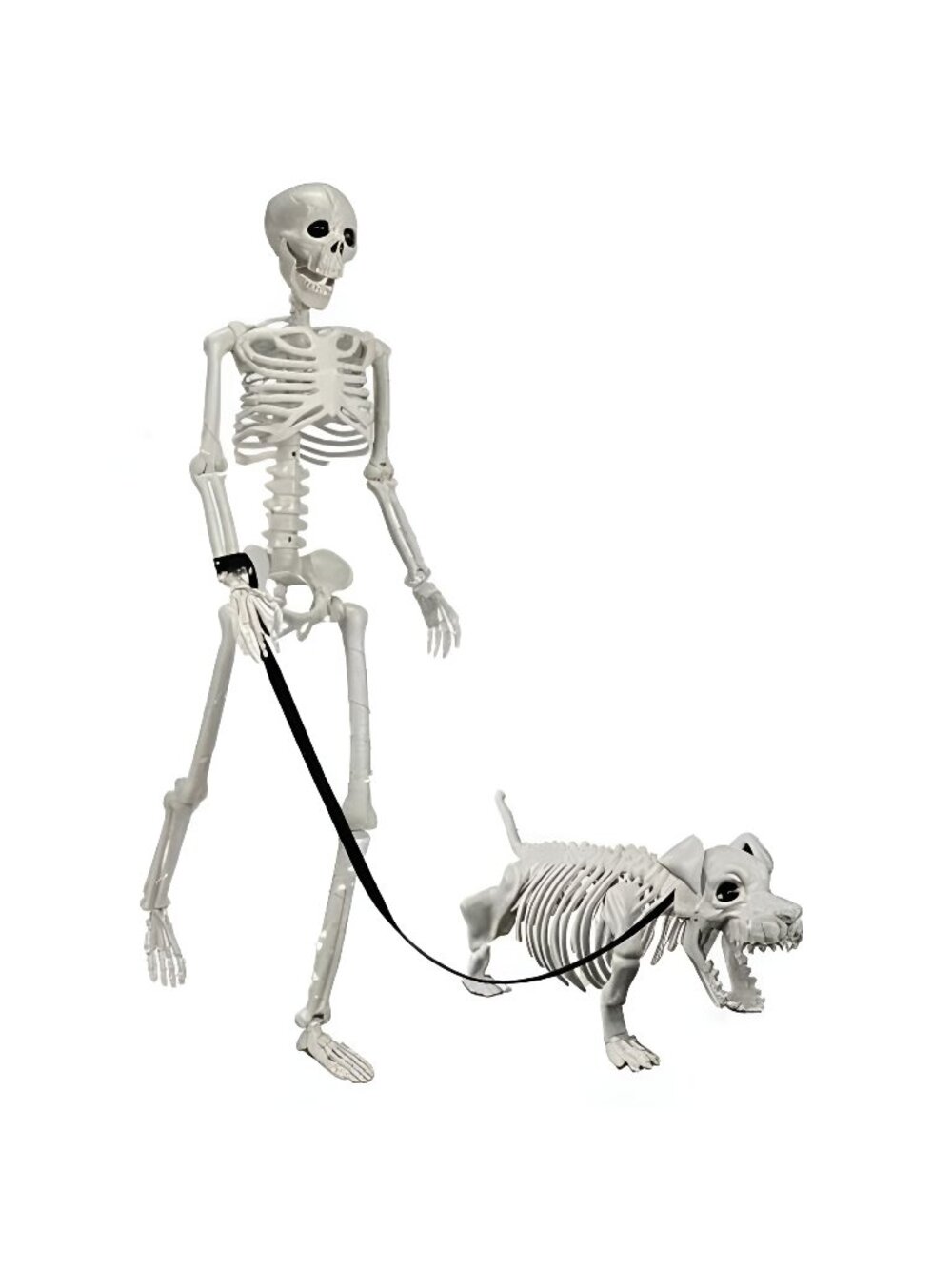 3.2 FT Human & Dog Skeleton Halloween Decorations Outdoor/Indoor